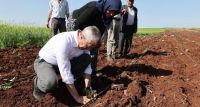 Başkan Tahmazoğlu çiftçilerle birlikte tarlada fide dikimi yaptı