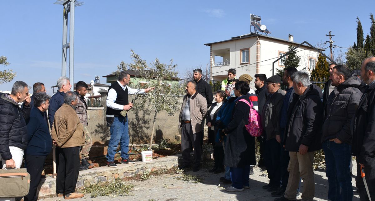 Şahinbey'de Çiftçilere Budama Eğitimi