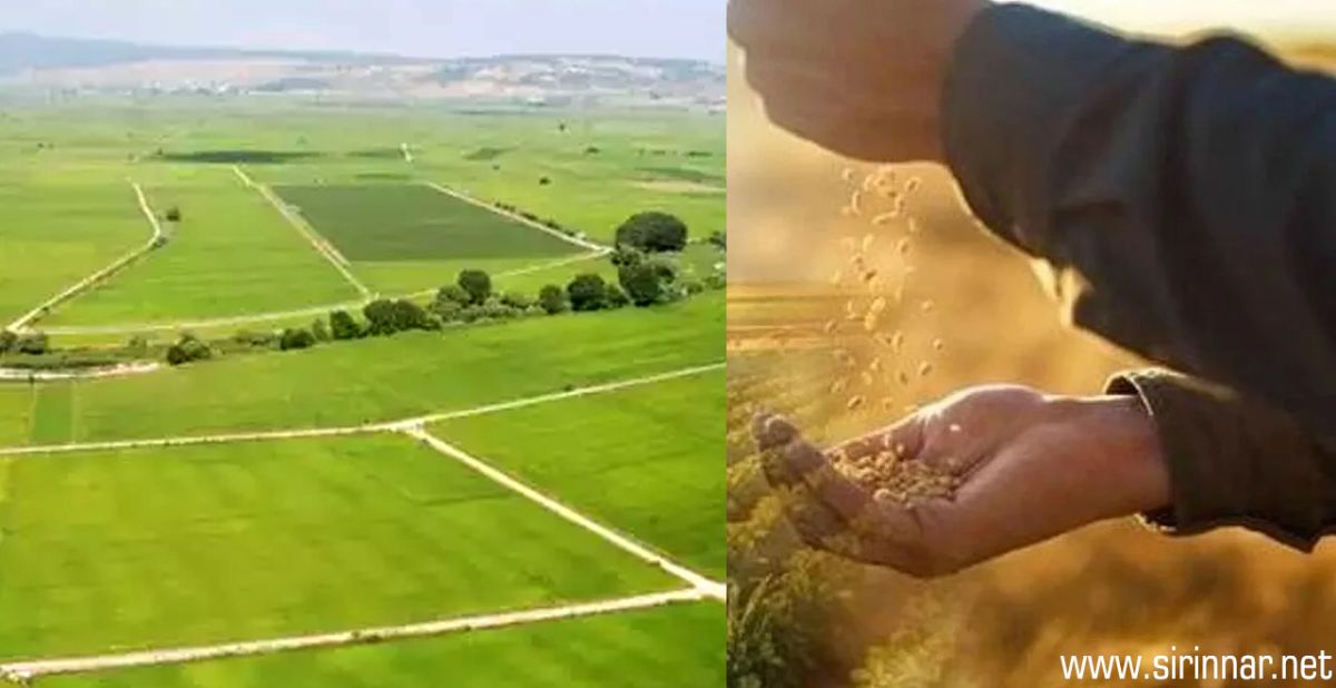 Gaziantep’te Son 80 Yılın Yağış ...