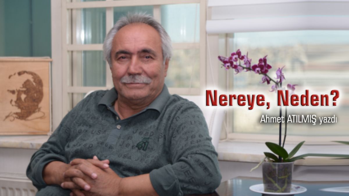 Nereye, Neden?