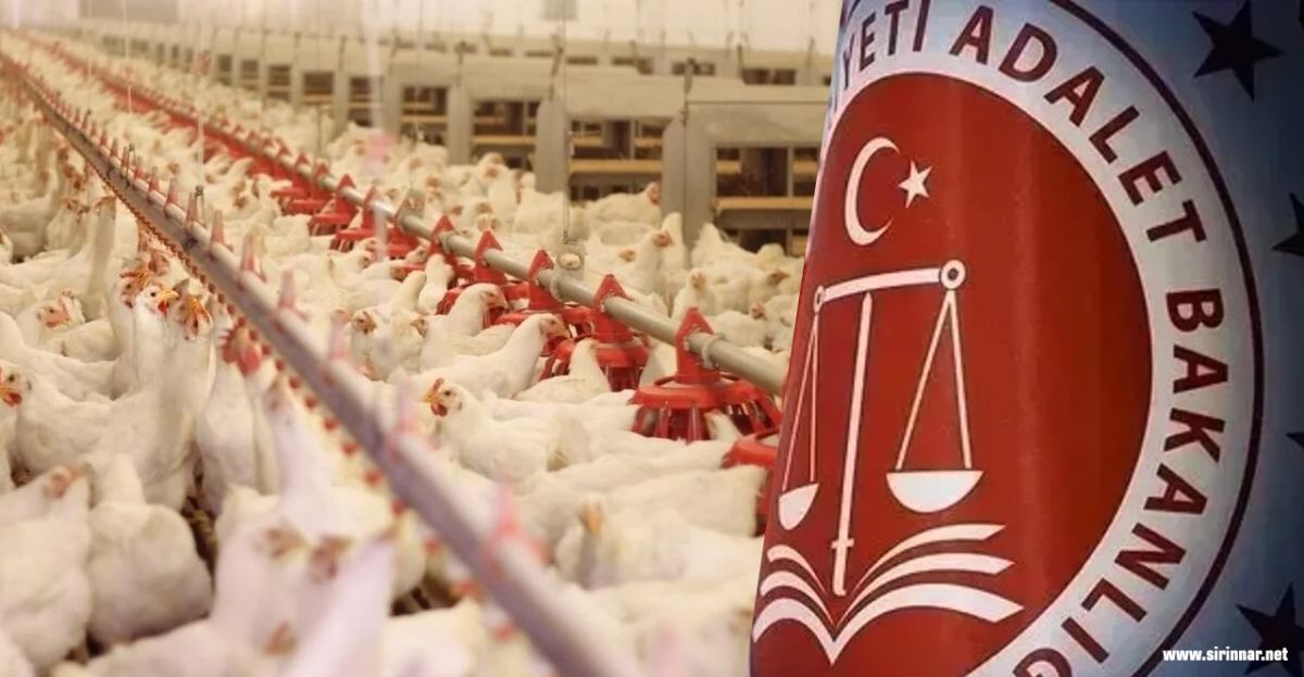 Beyaz Et Devlerine Kayyım Şoku: ...