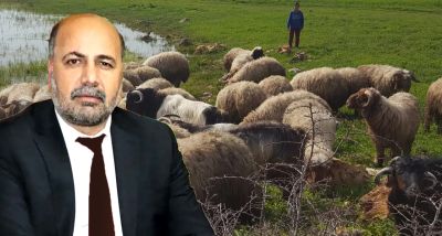 'Kırsalda Bereket' Projesiyle Küçükbaş Hayvancılığa Büyük Destek