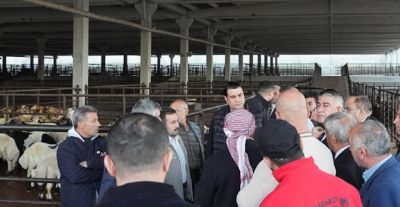 Aile Bütçesine Destek: Şehitkamil'e Et Tanzim Noktaları Geliyor